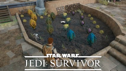 Graines Jedi Survivor : Utilité et où les planter ?