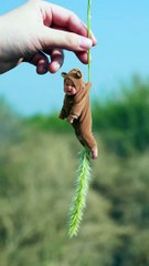 Babies Funny Moments |Cute Babies | Naughty Babies | Funny Babies #babies #baby #beauty #cutebabies