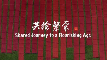 UN Chinese Language Day: Shared journey to a flourishing age