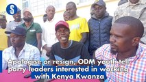 Apologise or resign, ODM youth tell party leaders interested in working with Kenya Kwanza