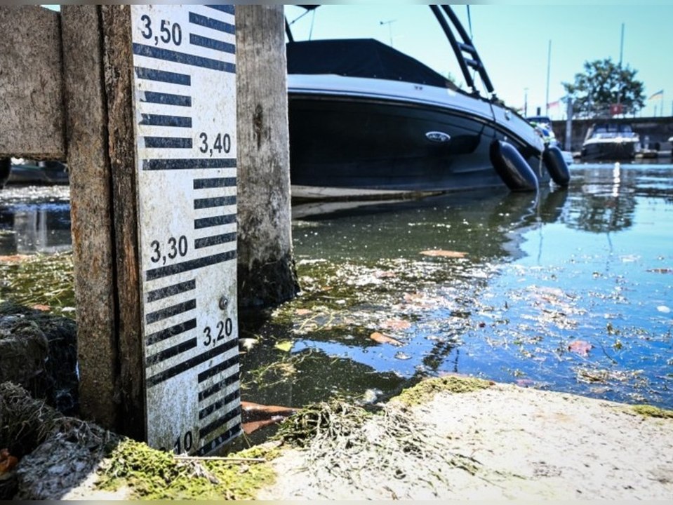 Behörden alarmiert: Am Bodensee drohen erneut niedrige Pegelstände