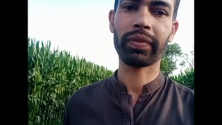 Makai ki kasht in Pakistan