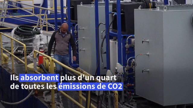 Utiliser l'océan comme une éponge à CO2, un pari contre le réchauffement climatique