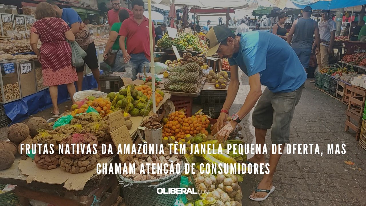 Frutas nativas da Amazônia têm janela pequena de oferta, mas chamam atenção de consumidores