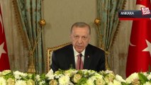 Cumhurbaşkanı Erdoğan: İklim Kanunu'muzu Meclis'ten geçirmiş olacağız