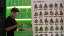 Entre porros y galletas, Tailandia vive un boom del negocio de la marihuana