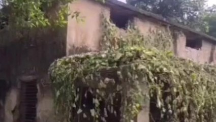 कुशीनगर: सहकारी समिति का भवन हुआ खंडहर में तब्दील, जिम्मेदार नही दे रहे ध्यान