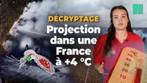 Prolifération des virus, émeutes, littoral grignoté... à quoi ressemblerait la France à +4 °C de réchauffement ?