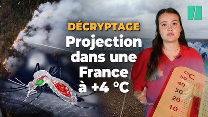 Prolifération des virus, émeutes, littoral grignoté... à quoi ressemblerait la France à +4 °C de réchauffement ?