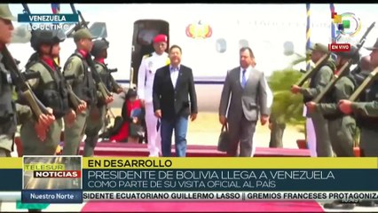 Visita de Luis Arce a Venezuela: un paso más para fortalecer la  integración regional