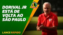 São Paulo acerta a contratação de Dorival Jr. para substituir Rogério Ceni - LANCE! Rápido