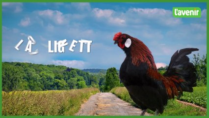 La clignette wallonne de Michel Francard