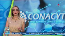 Se desploman las becas de posgrado de Conacyt; caen 40%