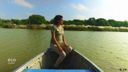 The rich biodiversity hiding in Delhi’s urban sprawl