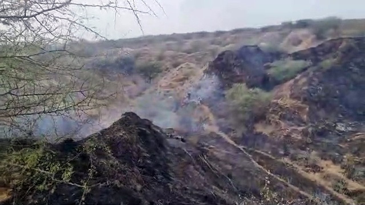 तीन घंटे की मशक्कत के बाद पाया आग पर काबू