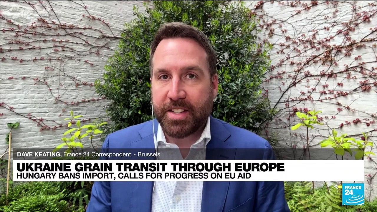 Ukraine grain transit through Europe: Hungary bans import, calls for progress on EU aid