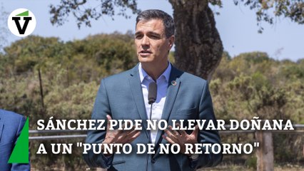Sánchez llama a la Junta a volver a la legalidad europea para evitar un "coste inasumible" a Doñana