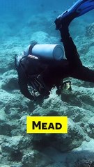 Mysterious Skeletons Found by Deep Sea Divers