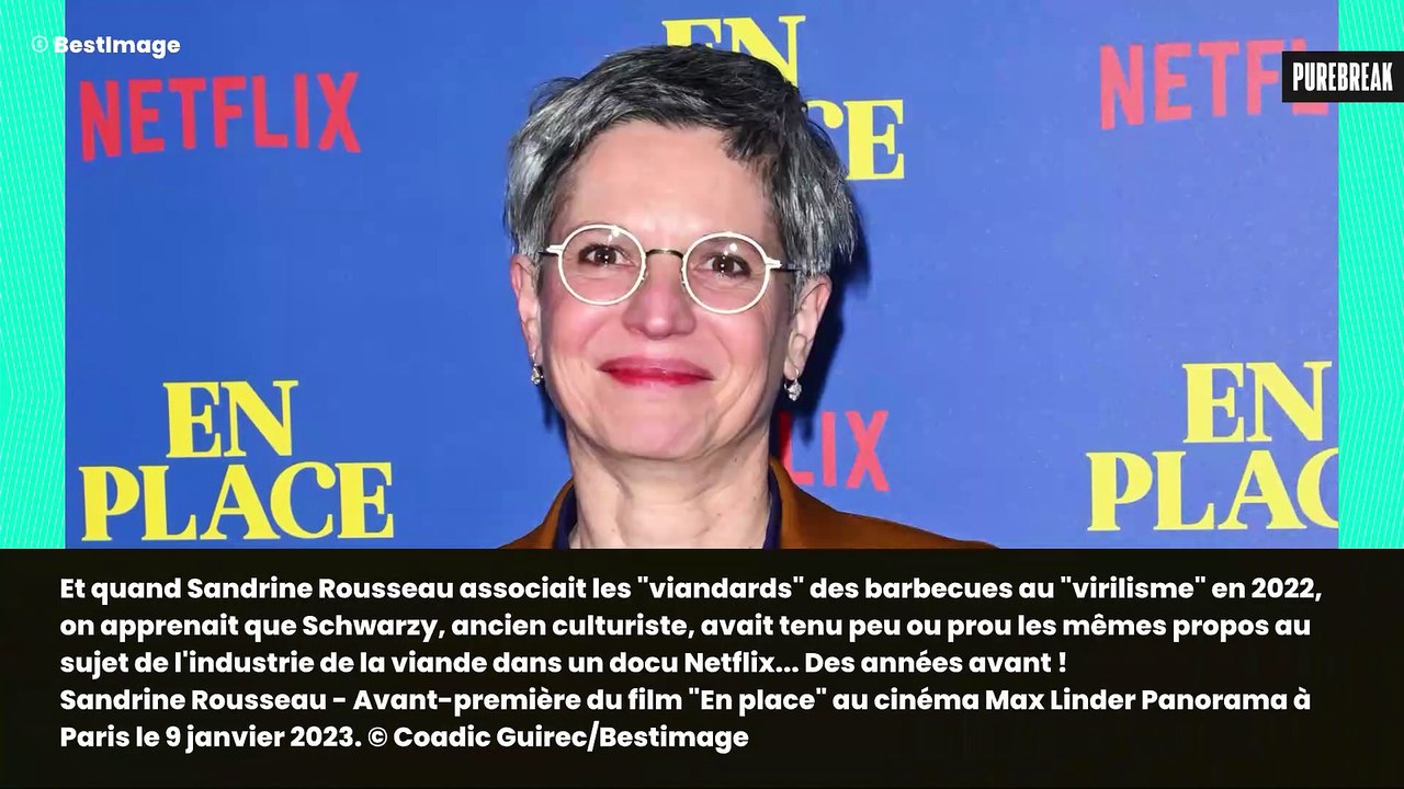 Mais pourquoi Sandrine Rousseau cite Terminator dans le plus grand des calmes ? C'est en fait tout sauf un craquage lunaire