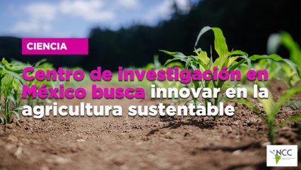 Centro de investigación en México busca innovar en la agricultura sustentable