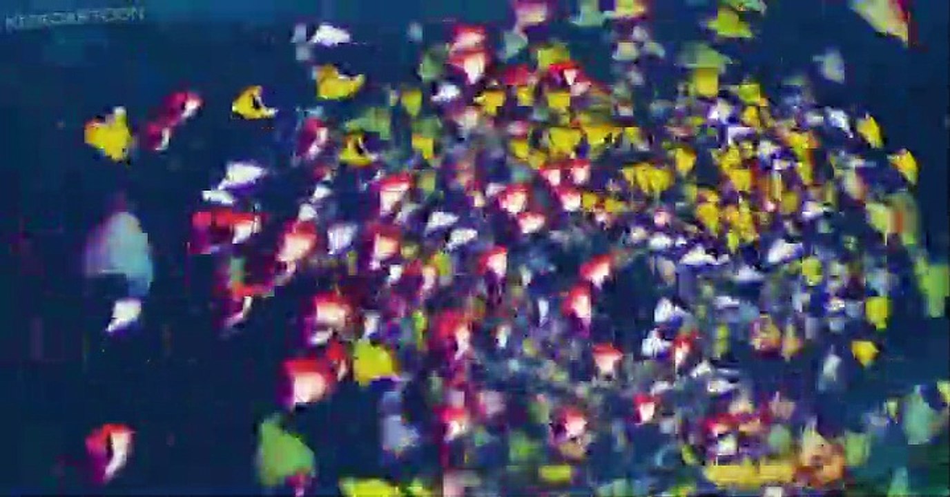H2O: Mermaid Adventures H2O: Mermaid Adventures E002 Caught in the Net