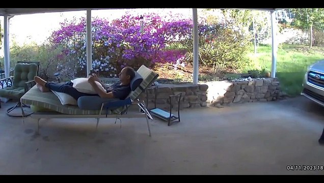 Un ours rend une petite visite à un homme sous son porche... un peu flippant