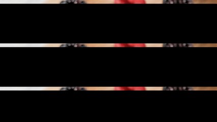 Deliciosas zarzamoras y frambuesas cubiertas de chocolate