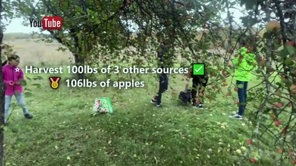 19 avril topo Honorine