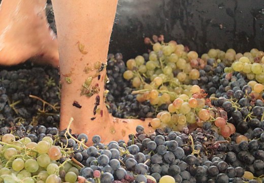 Ancient Romans Watched People Stomp Grapes in a Luxurious Winemaking Theater
