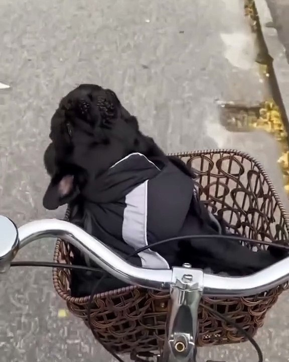 Faster faster! You are to slow mom