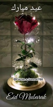 Eid Mubarak 2023 Status | Eid Special Status | Eid Mubarak WhatsApp Status | Eid Status | Eid ul Fitar Status | #Faizan e Sunnat #eid #status #short
