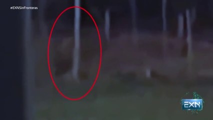 ¡El demonio de las vías se manifestó ante las cámaras de Extranormal! Te quedarás helado al verlo.