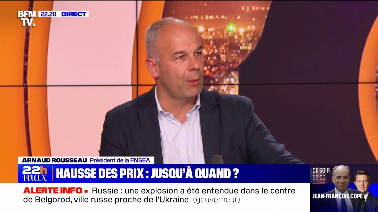 Arnaud Rousseau, président du groupe Avril, qui commercialise en France les marques Lesieur, Puget ou Isio 4, réagit à l'augmentation du bénéfice de son groupe de 45% l'an dernier