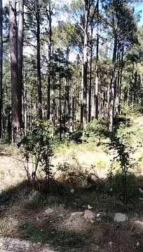 Kashmir velly beautiful video 2023