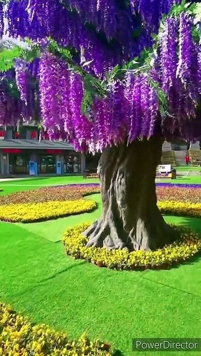 Project_04-15_HD 720p_HIGH_FR30_(1)