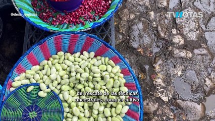 Elena Reygadas, Mejor Chef del Mundo 2023 🇲🇽