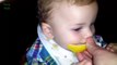 baby hates his new food! Babies Eating Lemons for the First Time! Приколы! Ребенок ненавидит еду!