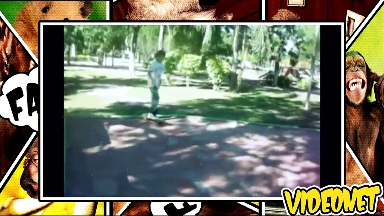 videos engraçados Pra morrer de rir 2015 Videos GraciososVideos