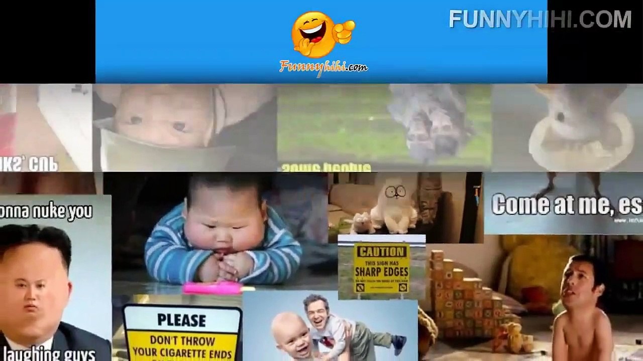 Funny Cats Compilation - Funny Animals Cartoons - Funny Cat Videos - Funny Animal 2015