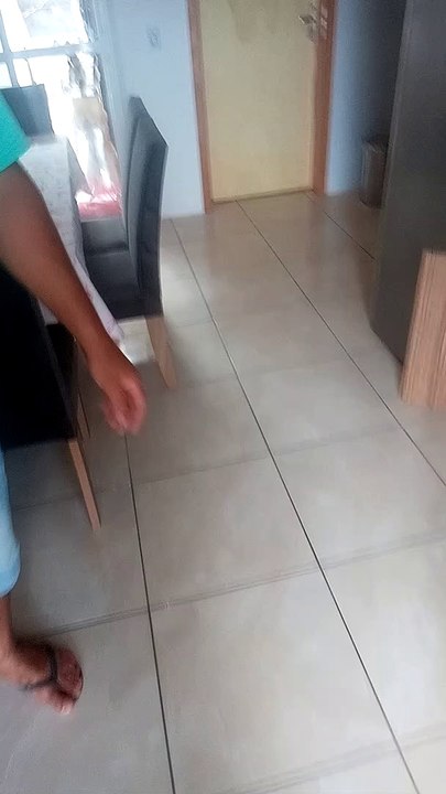 Dog Luma show