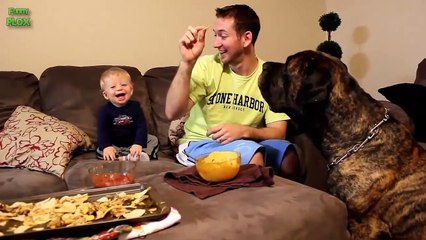 Babies Laughing Hysterically at Dogs Compilation (2017)