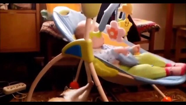 Cute dogs cats taking care of cute babies Funny animal compilations
