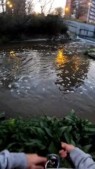 Guy Rescues a Duck That Tried to Eat Fishing Bait