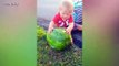 Cute Baby Inside a Watermelon  - Funny video Awesome
