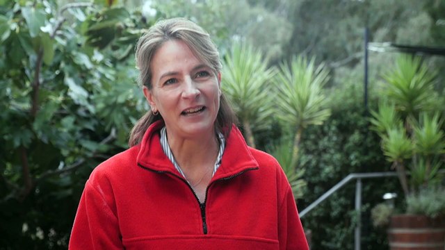 Chinese wine importers looking to re-sign contracts with Australian growers amid government talks