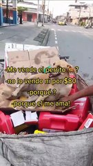 Joven le ofrece 80 dólares a reciclador por su perrito y él tiene conmovedora respuesta: “Él me ama”