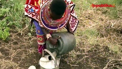 Inovatif, Menangkap Uap Air untuk Menjadi Air Minum Bersih