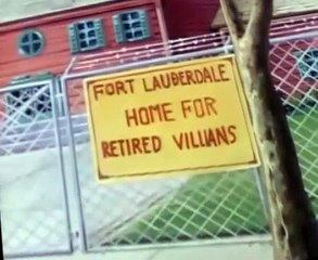 Teenage Mutant Ninja Turtles (1987) S04 E005 Shredder's Mom