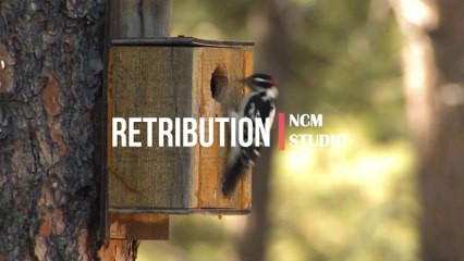 Retribution - NEFFEX, Rock Music, Angry Music