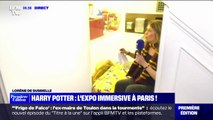 Placard sous l'escalier, Poudlard, cabane d'Hagrid... L'exposition immersive Harry Potter débarque à Paris
